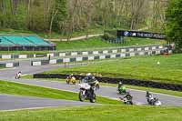 cadwell-no-limits-trackday;cadwell-park;cadwell-park-photographs;cadwell-trackday-photographs;enduro-digital-images;event-digital-images;eventdigitalimages;no-limits-trackdays;peter-wileman-photography;racing-digital-images;trackday-digital-images;trackday-photos